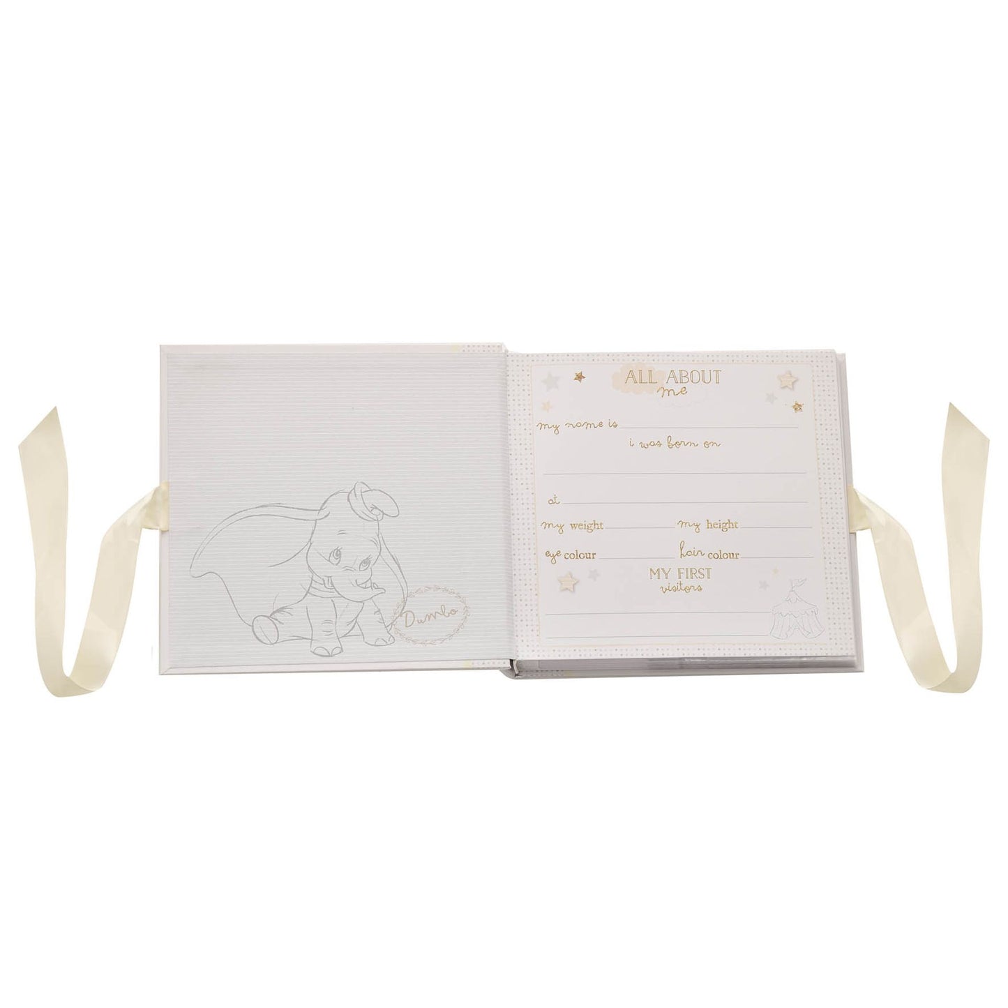 DISNEY MAGICAL BEGINNINGS PHOTO ALBUM 4" X 6" - DUMBO