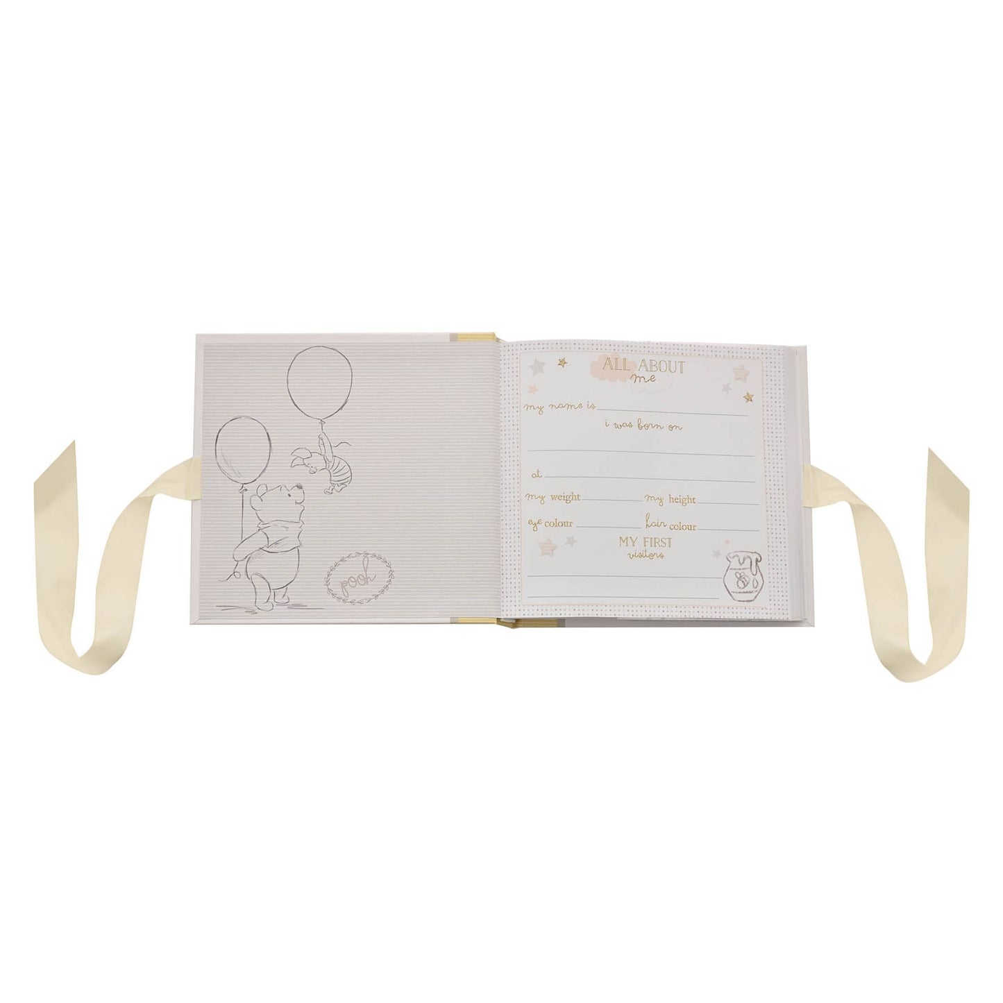 DISNEY MAGICAL BEGINNINGS PHOTO ALBUM 4" X 6" - POOH