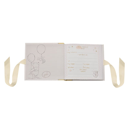 DISNEY MAGICAL BEGINNINGS PHOTO ALBUM 4" X 6" - POOH