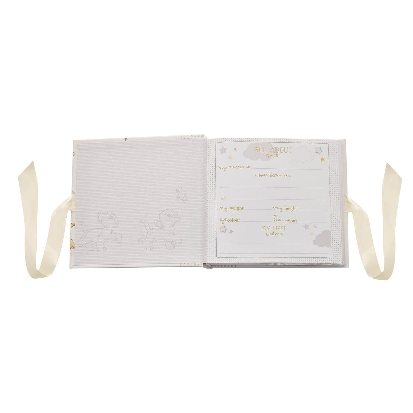 DISNEY MAGICAL BEGINNINGS PHOTO ALBUM - SIMBA