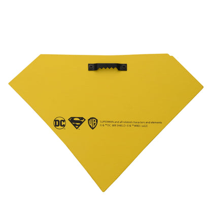 WARNER BROS SUPERMAN DOUBLE LAYERED PLAQUE