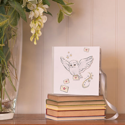 HARRY POTTER CHARMS PHOTO ALBUM - HEDWIG