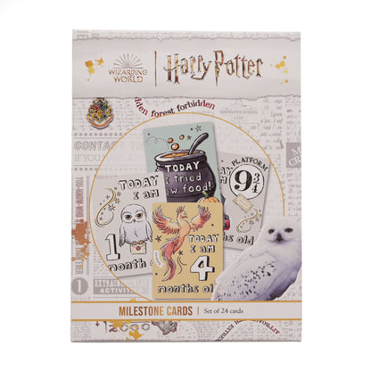 HARRY POTTER CHARMS MILESTONE CARDS