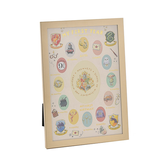 HARRY POTTER CHARMS 'MY FIRST YEAR' MULTI APP FRAME
