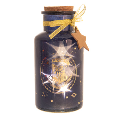 HARRY POTTER LED LIGHT UP JAR HOGWARTS CREST