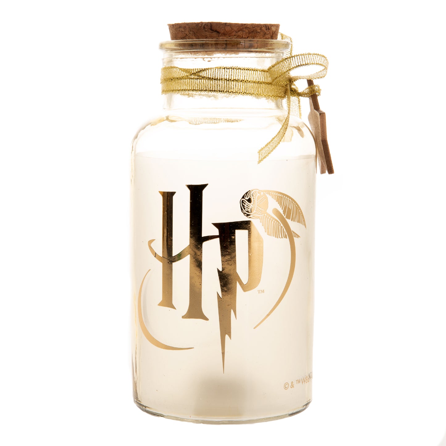 HARRY POTTER LED LIGHT UP JAR - HARRY POTTER